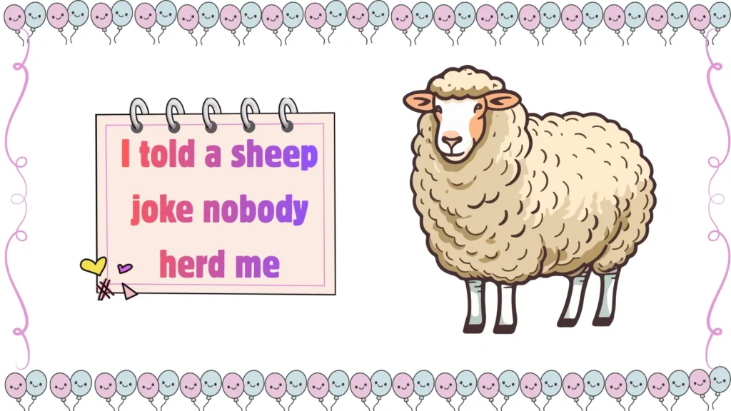sheep jokes