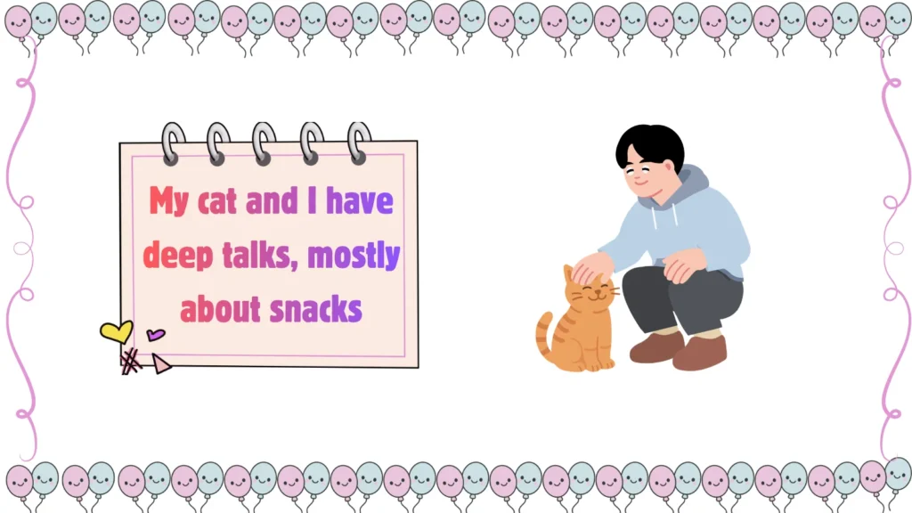 cat dad jokes