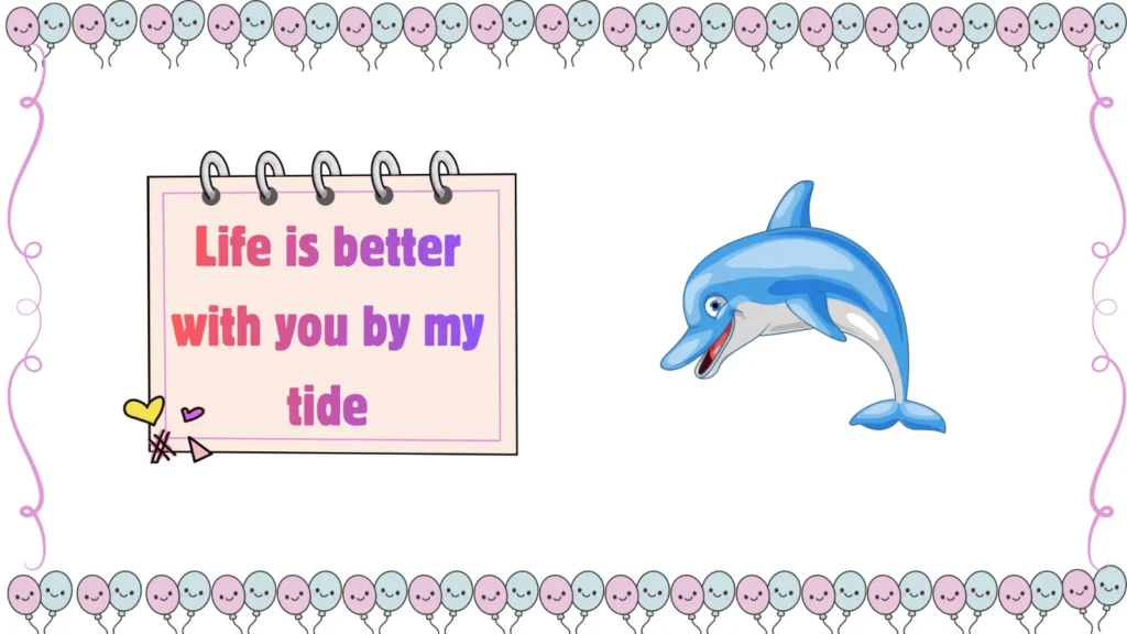 dolphin jokes
