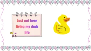 duck jokes for kids