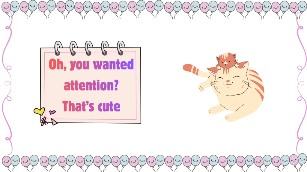 jokes about cats